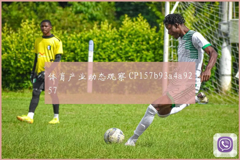 体育产业动态观察 CP157b93a4a9257